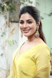 Sir Movie Heroine Samyukta Menon Interview Pics