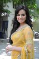 Sana Khan in Saree Images at Nadigayin Diary Audio Release