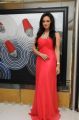 Actress Sana Khan Birthday Celebrations 2013 Photos