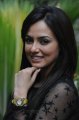 Sana Khan Cute Photo Gallery