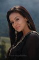 Sana Khan Cute Saree Stills