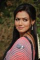 Sana Khan Cute Saree Stills