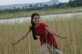 Sana Khan in Half Saree Pics