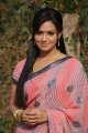 Sana Khan Cute Saree Stills