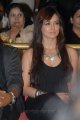 Sana Khan Hot in Mr.Nokia Audio Release