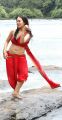 Gajjala Gurram Movie Actress Sana Khan Hot Stills