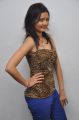 Actress Sanam Hot Stills at Biscuit Audio Release