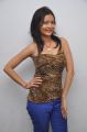 Actress Sanam Hot Stills at Biskett Audio Release