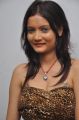 Telugu Actress Sanam Hot Stills at Biscuit Audio Release
