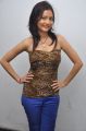 Actress Sanam Hot Stills at Biskett Audio launch