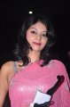 Actress Sanam Saree Photos