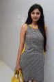 Actress Sanam Shetty Photos at Singham 123 Movie Interview