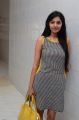Actress Sanam Shetty Photos at Singham 123 Movie Interview