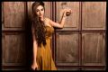 Actress Sanam Shetty New Hot Photoshoot Images HD