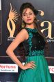 Actress Sanam Shetty Stills at IIFA Utsavam Awards 2017 Green Carpet