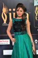 Actress Sanam Shetty Stills at International Indian Film Academy Awards Utsavam 2017
