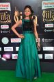 Actress Sanam Shetty Stills at IIFA Utsavam Awards 2017 Green Carpet