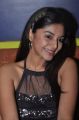 Actress Sanam Shetty Latest Stills in Black Dress