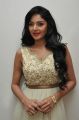 Actress Sanam Shetty Stills @ Srimanthudu Audio Launch