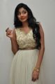 Telugu Actress Sanam Shetty @ Srimanthudu Audio Release