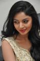 Telugu Actress Sanam Shetty @ Srimanthudu Audio Release