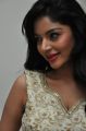 Actress Sanam Shetty Stills @ Srimanthudu Audio Launch