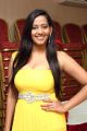 Tamil Actress Sanchana Singh Spicy Hot Stills