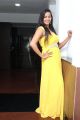 Actress Sanchana Singh Hot Stills