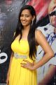 Actress Sanchana Singh in Yellow Dress Hot Stills