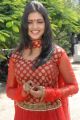 Telugu Actress Sanchita Padukone Latest Photos