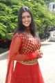 Actress Sanchita Padukone Latest Hot Photos