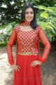 Telugu Actress Sanchita Padukone Photos in Traditional Dress