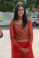 Sanchita Padukone Photos in Traditional Dress