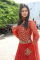 Sanchita Padukone Hot Pics at Chinababu Movie Launch