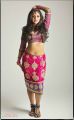 Actress Sanchita Padukone Hot Photo Shoot Pics