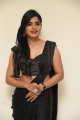 Tamil Actress Sanchita Shetty Black Saree Images