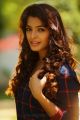 Tamil Actress Sanchita Shetty Photoshoot Images