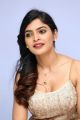 Actress Sanchita Shetty Pictures @ Party Audio Launch