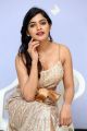 Actress Sanchita Shetty Latest Pictures @ Party Movie Audio Launch