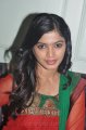 Sanchita Shetty Actress Stills