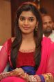 Sanchita Shetty at Pizza 2: Villa Audio Release Function