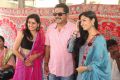 Sarathkumar, Avani Modi @ Sandamarutham Movie Launch Stills