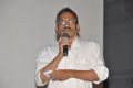 Sandatlo Sademiya Movie Audio Release Function Photos