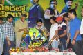 Sandatlo Sademiya Movie Audio Launch Photos