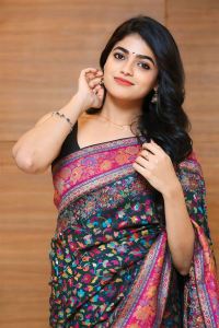 Actress Sangeerthana Vipin Cute Saree Images