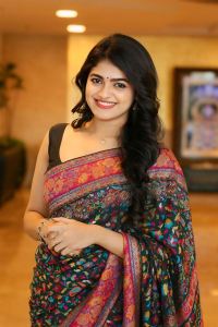 Actress Sangeerthana Vipin New Saree Images