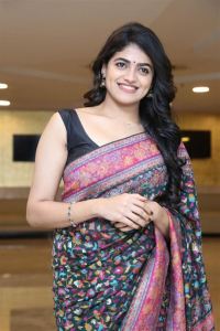 Actress Sangeerthana Vipin New Saree Images