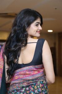 Actress Sangeerthana Vipin New Saree Images