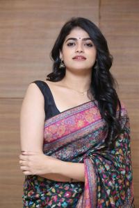 Actress Sangeerthana Vipin New Saree Images