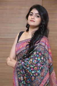 Actress Sangeerthana Vipin Cute Saree Images